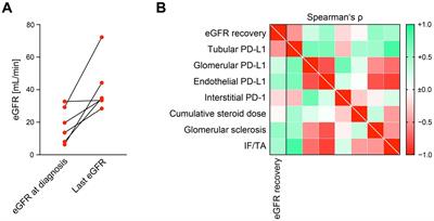 Serum sodium levels associate with recovery of kidney function in immune checkpoint inhibitor nephrotoxicity